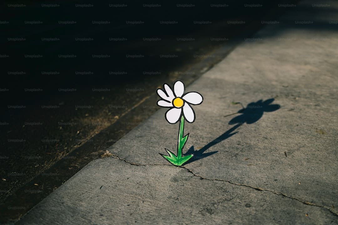沈月干回婚庆拍摄老本行 心情价值拉满